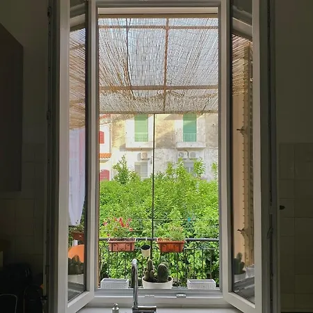 公寓 La Terrazza Al Museo *